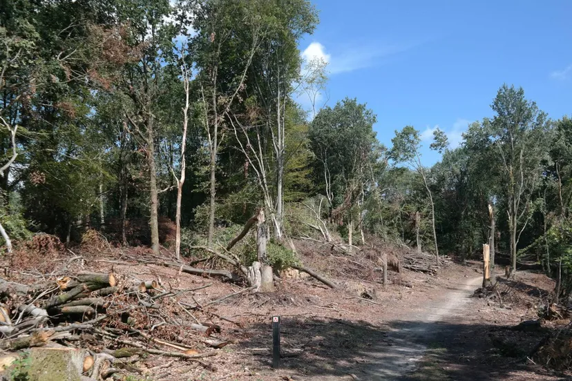 gevolgen tornado rheden ivn oost veluwezoom