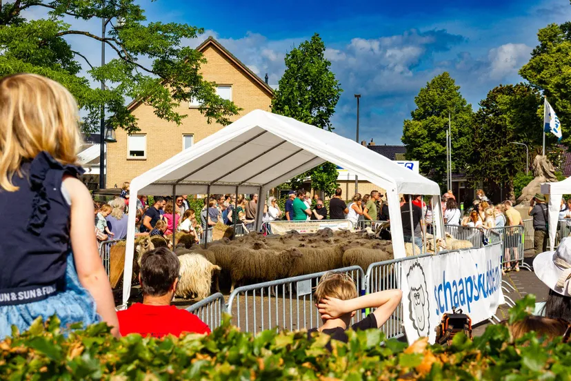 bonte schaap festival vincent riebroek