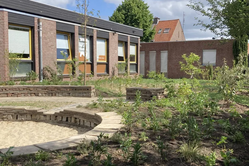 de kleine dierentuin marijn swarte