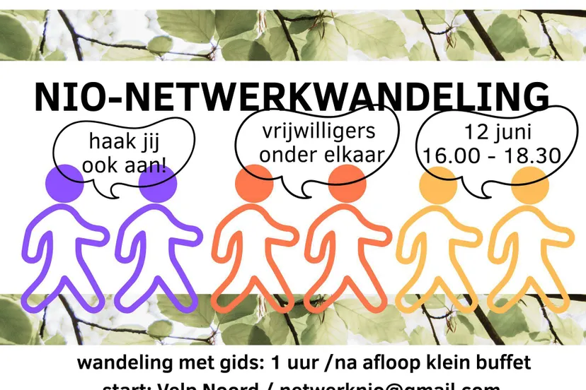 nio netwerkwandeling netwerk informele ondersteuning rheden rozendaal