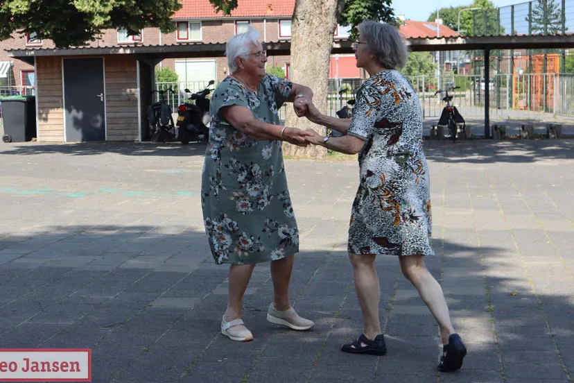 seniorendisco in dieren dansen zingen en patat onder de boom 2025 1