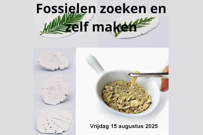 Fossielen zoeken én zelf maken in het Gelders Geologisch Museum