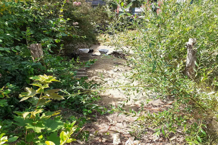 Cursus Zoomtuinen - IVN Oost-Veluwezoom