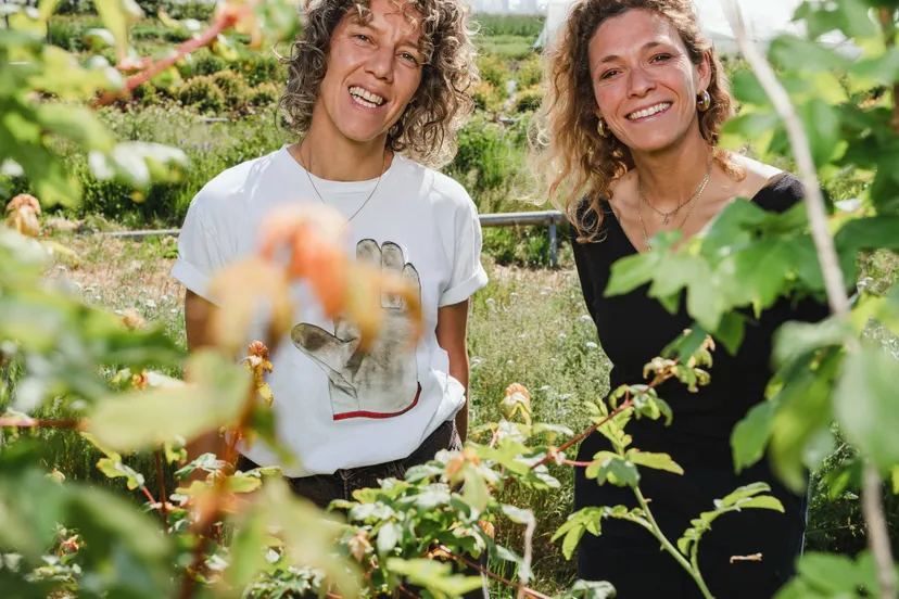 Oprichtsters biolbloemen c