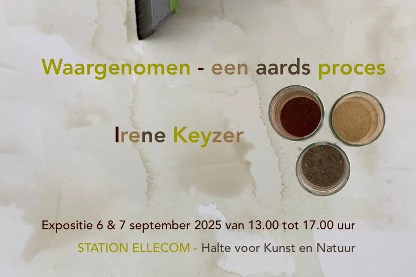 Waargenomen - een aards proces expositiebeeld - Irene Keyzer