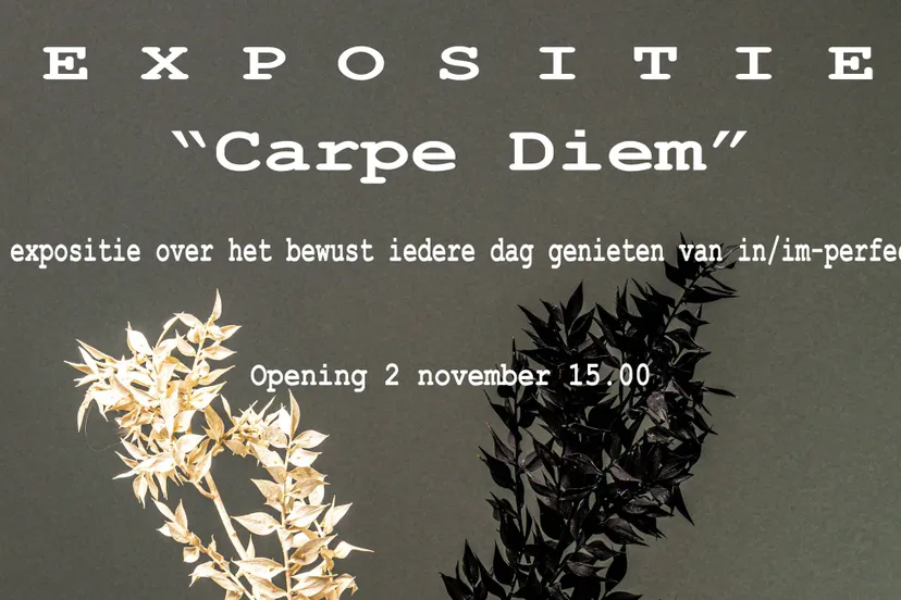 Expositie Carpe Diem1 - Nieuwe Ruimte Velp