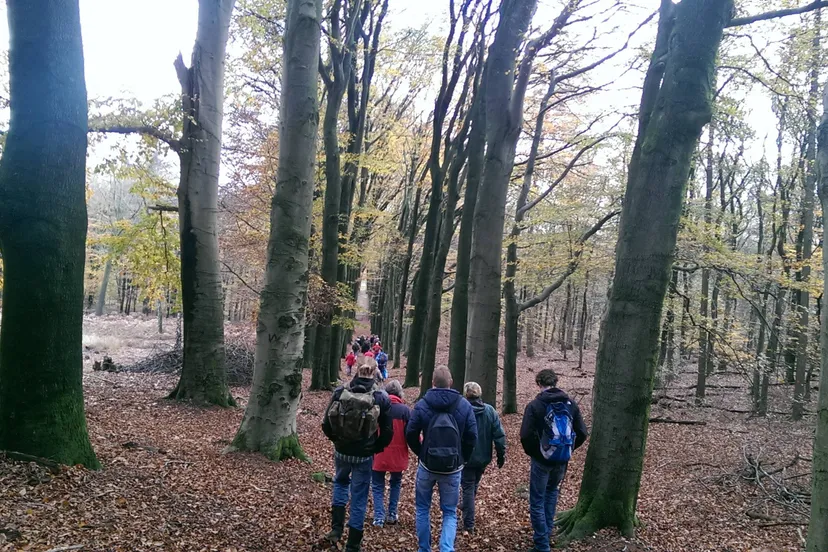 IVN Wandeling - Verborgen bosgeheimen - Corlène van den Camp