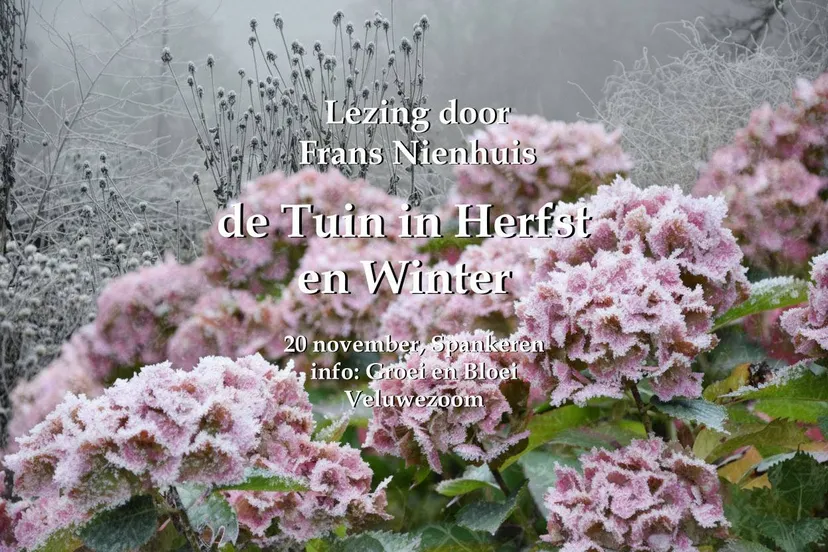 lezing herfst winter Spankeren  Frans Nienhuis