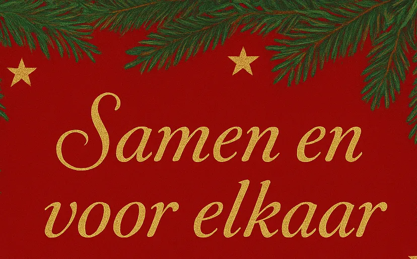 t'Steegse deelkastje1