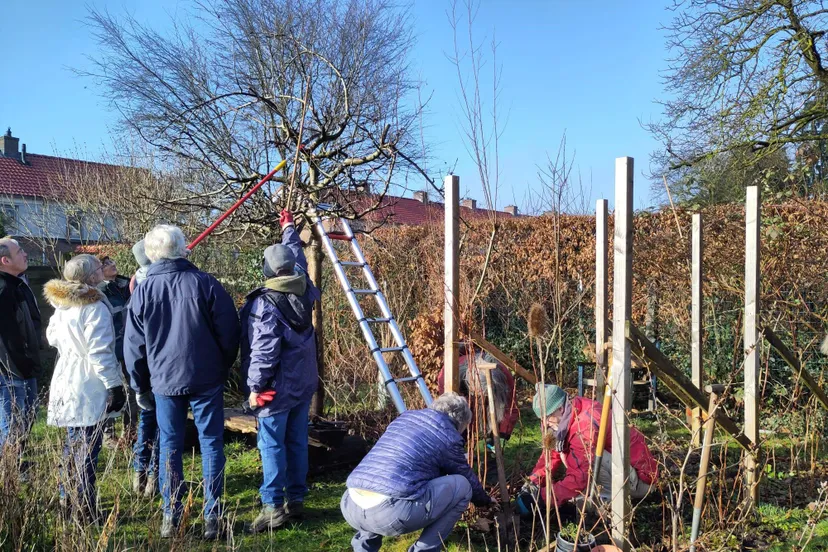 Dorpstuin foto Esther Dieker