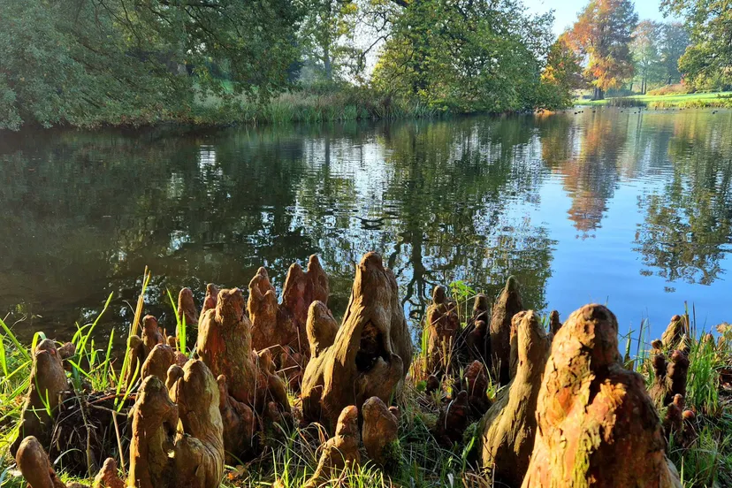 hof te Dieren IVN Oost-Veluwezoom