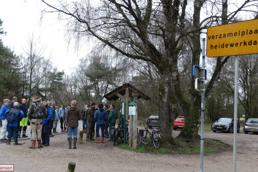 Jaarlijkse Heidewerkdag op het Rozendaalse veld trekt 30 vrijwilligers 28-02-2026 (3)