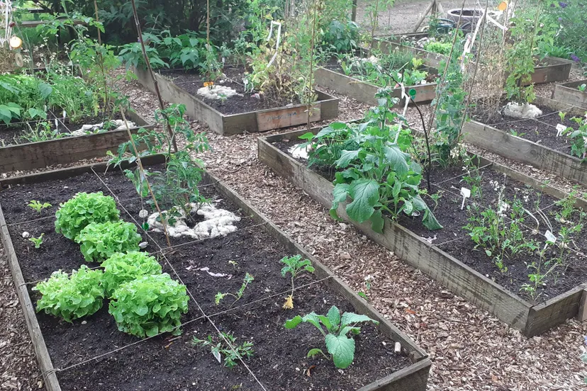 Kindertuin Rozendaal Ria van Doorn