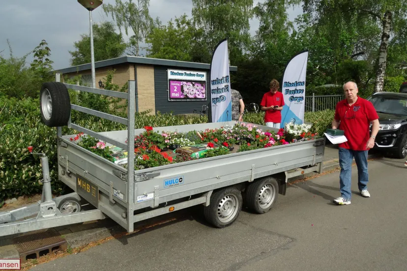 Bloemenactie Rhedens Fanfare Corps zorgt weer voor kleur in Rheden 02-05-2026 (2)