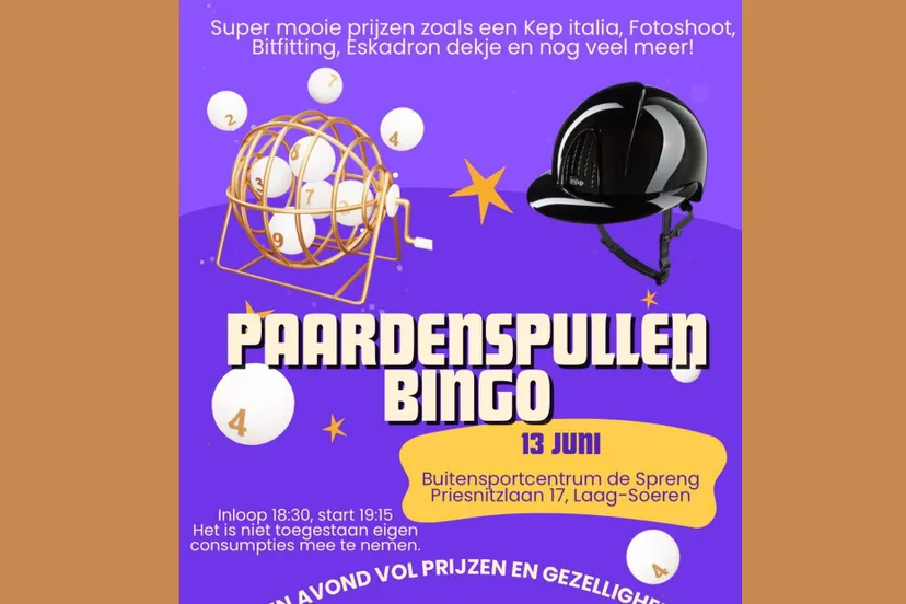 Flyer paardenspullenbingo