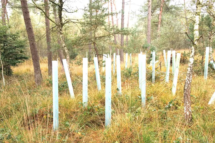 IVN Oost-Veluwezoom