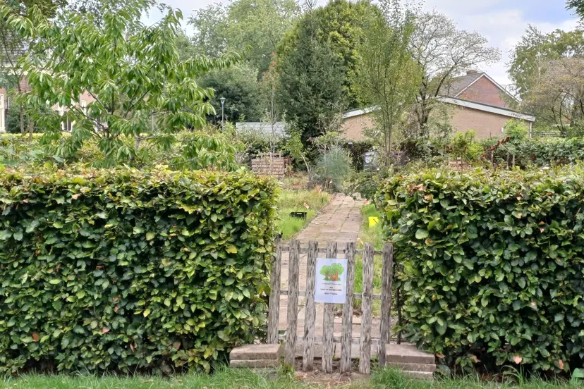 Eco Leer- en Speelparadijs Klein Treupje Dieren - Cathy M. Schaftenaar