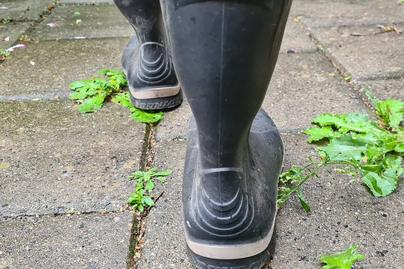 wandelen RN
