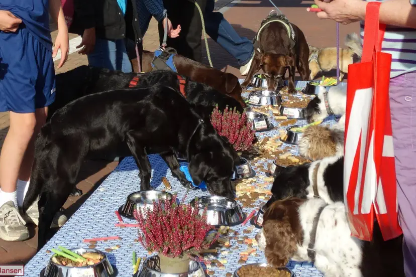 21e Dierense Dierendagbuffet opnieuw een groot feest voor viervoeters 3-10-26 (6)