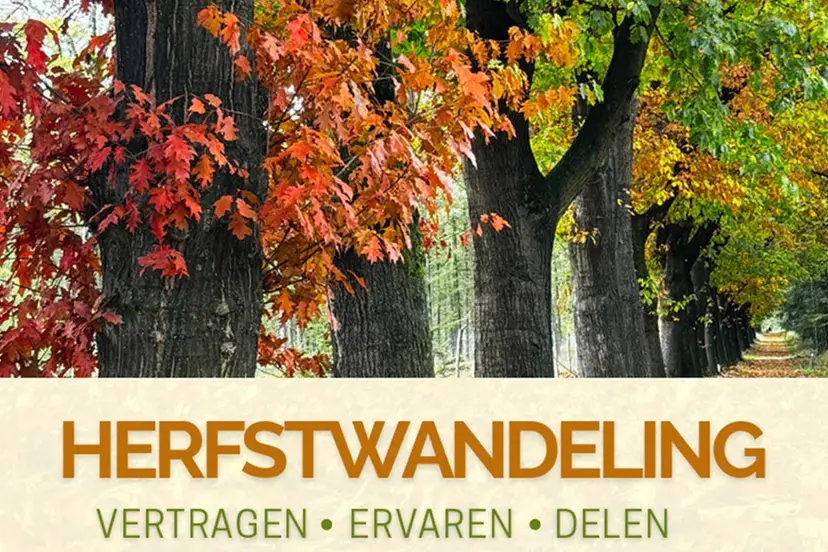 Herfstwandeling1 - Jorine Dirks