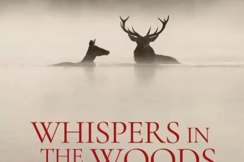 Whispers in the Woods