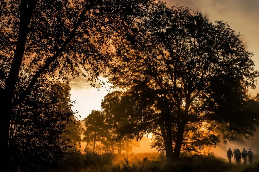 avond wandeling door de Meinweg met VVV Hart van Limburg gids  ©HartvanLimburg