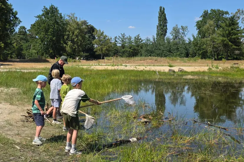 waterdiertjes zoeken Huttopia