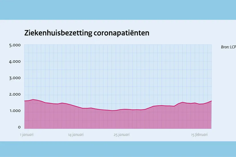 08 ziekenhuisbezetting web