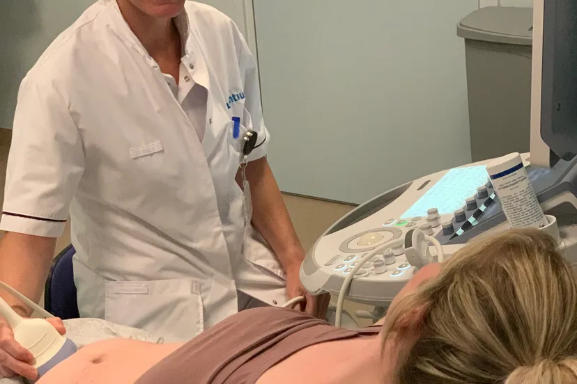 13 wekenecho iris zwaan