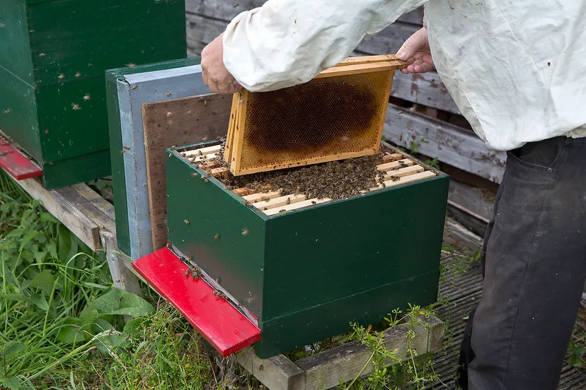 14582645741 ca4efc2b9a b