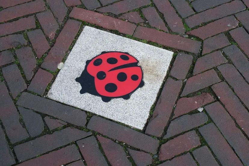 2008 09 alphen geen geweld