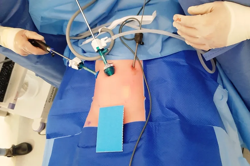 20210527 103411 copy