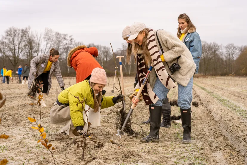 20211210 trees for all2