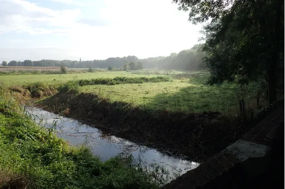 20240622 de vlootbeek in de weerd bij linne
