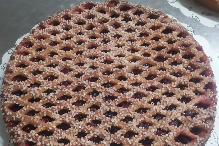 325464152 567728301872064 636990948604515004 n