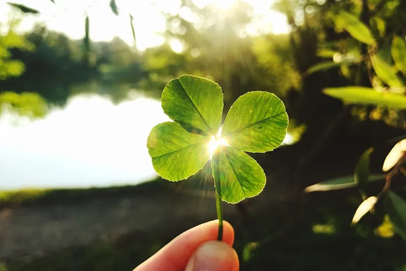 373503928 24476364745295806 6026465257193932179 n