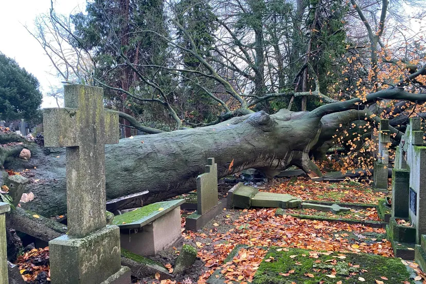 405658035 384435367273088 3941614334761186341 n