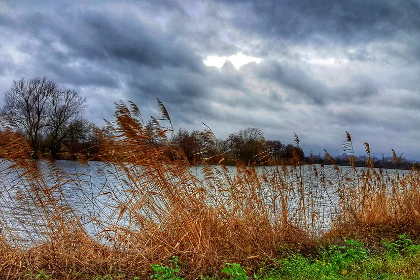 49472158 1122764734553906 3894187323331444736 o