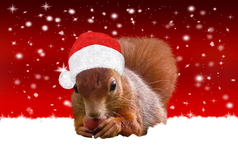 background 5803537 1920