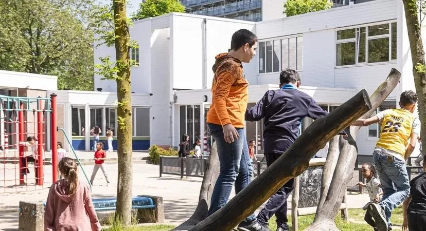 beeldbank onderwijs vincent van goghschool