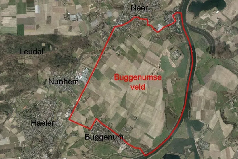 buggenumse veld 1