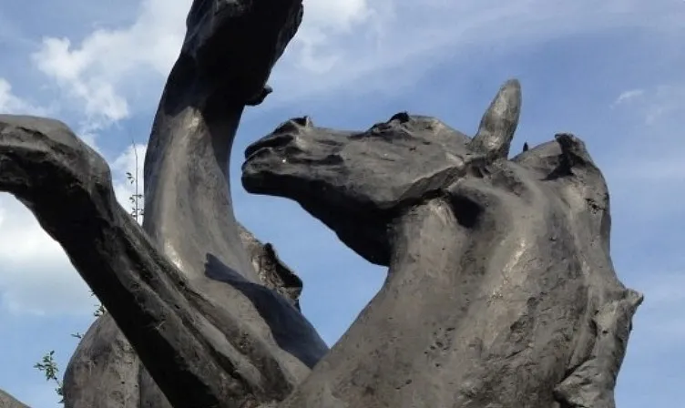 centrale keuring kwpn