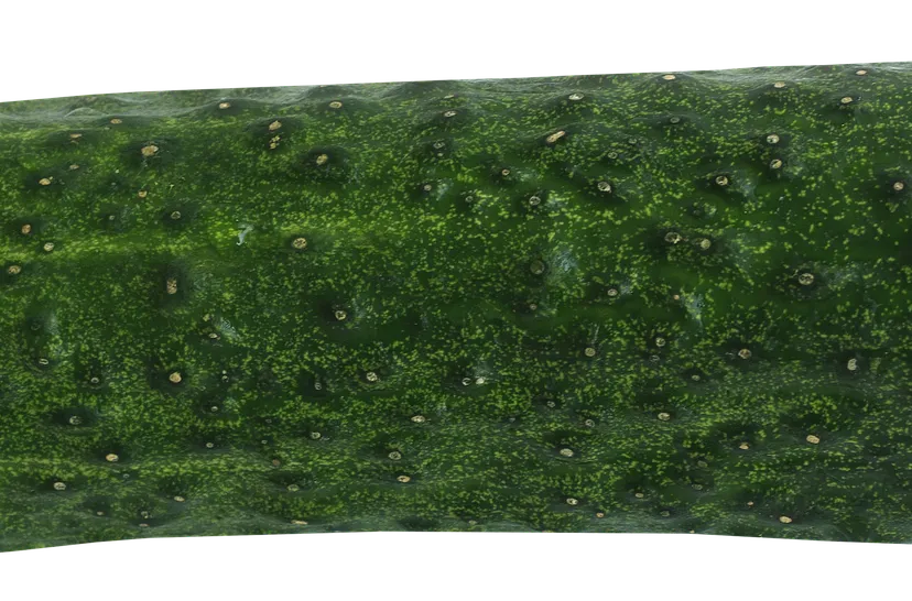 cucumber 2488875 1920