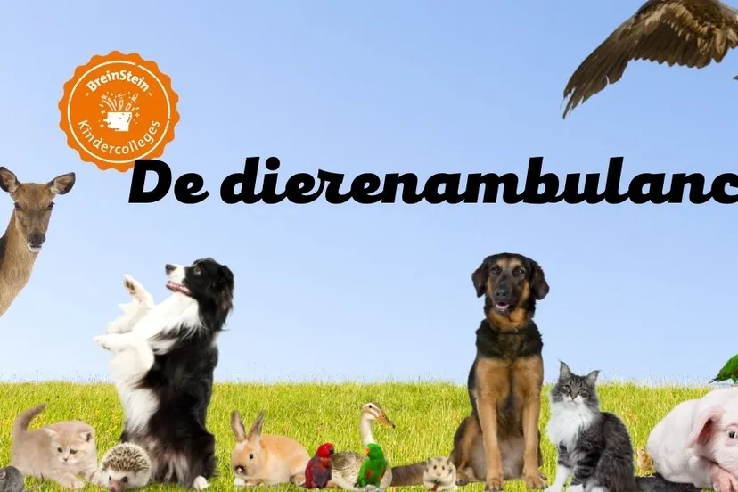 de dierenambulance bij de bibliotheek bibliorura