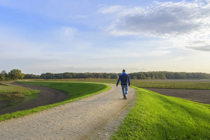 dijk langs de maas waterschap limburg