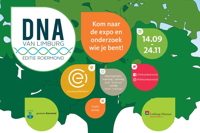 dnavlimburg poster