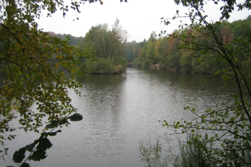 dubbroek maasbree mortelsven piet fleuren