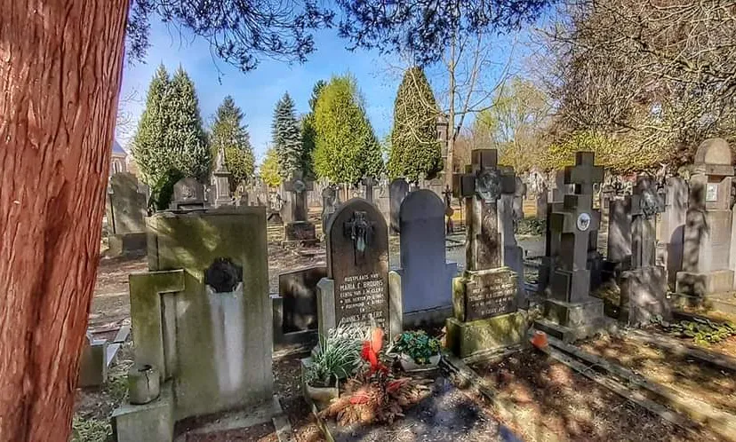 fb img 1600267777450