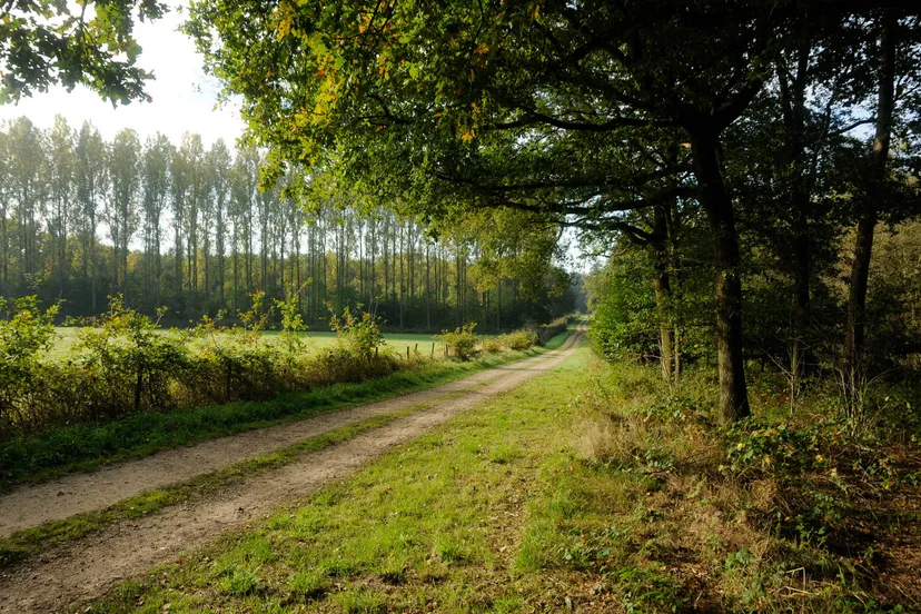 foto beesels broek sllhenkheijligers 1