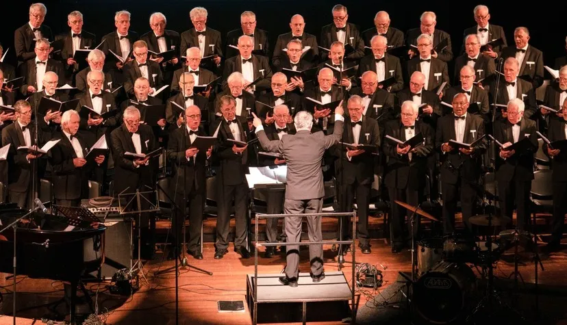 foto champ concert 2019 1990x738 hubtonnaer